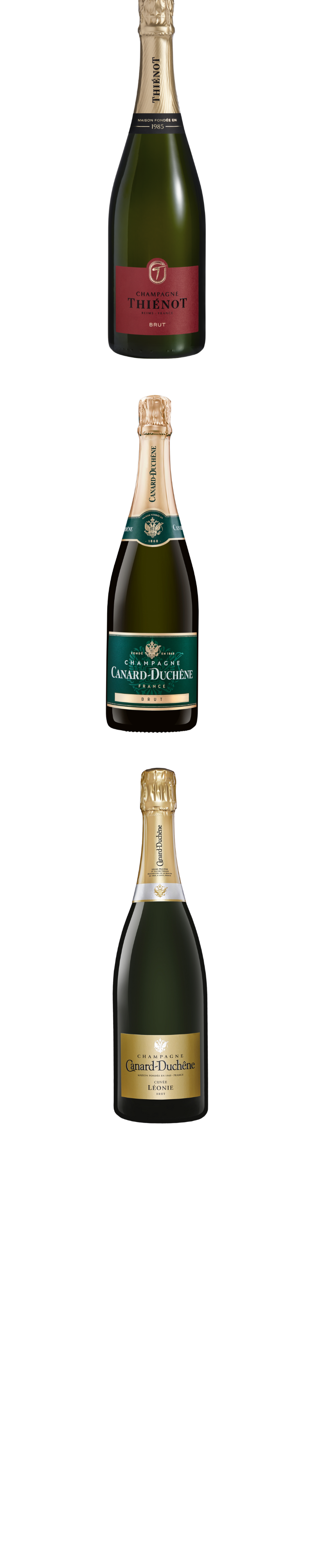 Copie de Animation bouteilles verticales Champagnes Export (1)
